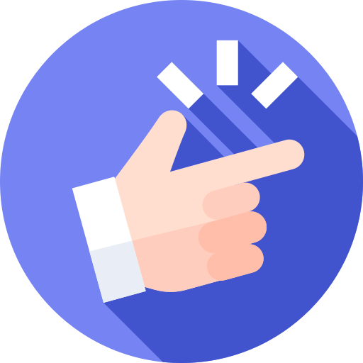 WordPress Plugin Development Services